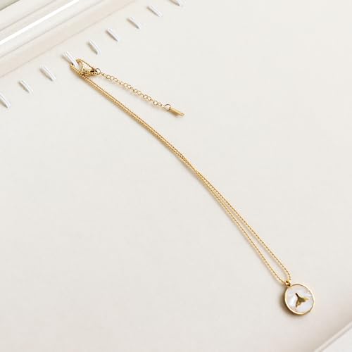 Wudygirl Necklace Organizer with Clear Glass Lid Stackable Jewelry Organizer Tray with 20 Hooks for Necklace Bracelet(Beige Necklace Box) - style: Beige Necklace Tray