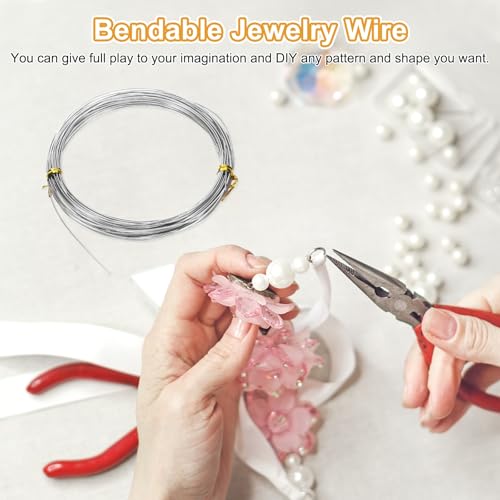 M METERXITY 20 Gauge Stainless Steel Craft Wire, 0.8mm 65.6 ft Bendable Floral Snare Wire for Jewelry Making/Sculpting/Armature Crafting/Floral Bonsai/DIY Crafts - size: 20 Gauge x 65.6 ft
