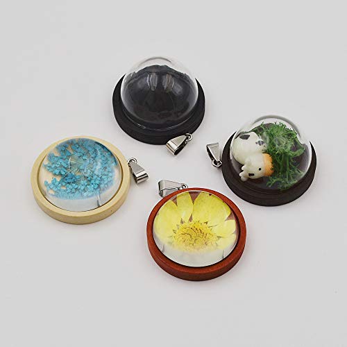 ZenRa 10-Piece Glass Dome Pendant Set with Wooden Base & Hollow Glass Cabochons (25mm Red Coffee) - size: 25mm Dome Red Coffee