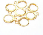 20 Pieces Surgical-Grade Stainless Steel Lever Earring Hooks - Open Loop Findings with 14×12mm Hoop Bases for DIY Jewelry Making Supplies (Gold) - color: Gold