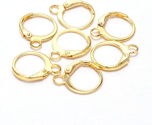 20 Pieces Surgical-Grade Stainless Steel Lever Earring Hooks - Open Loop Findings with 14×12mm Hoop Bases for DIY Jewelry Making Supplies (Gold) - color: Gold