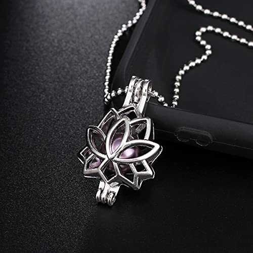 Mixed Pearl Cage Locket Pendants Set, Essential Oil Diffuser DIY Necklace Bracelet Jewelry Making Craft, Bulk Beads Aromatherapy Diffuser Charms Gifts for Women Girls - color: Random 20pcs Dull Silver