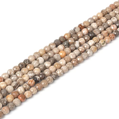 Natural Coral Fossil 4mm Faceted Round Beads Loose Beads 16 Inch for Jewelry Making Beads - color: Coral Fossil
