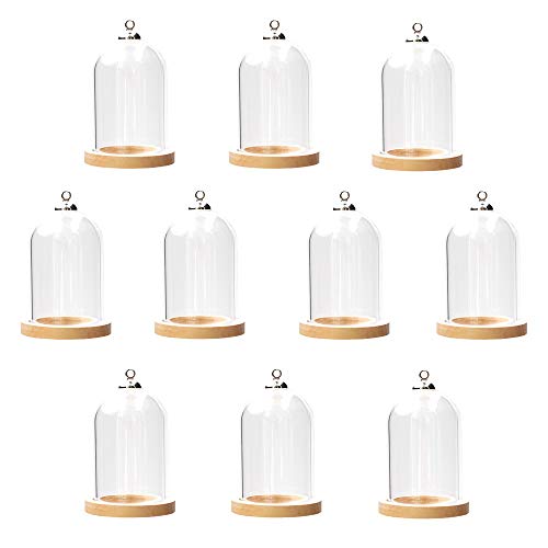 10-Piece Glass Dome Pendant Set with Wooden Base and Hollow Glass Cabochons (38x25mm, Wood Color) - size: 38x25mm Wood Color