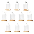 10-Piece Glass Dome Pendant Set with Wooden Base and Hollow Glass Cabochons (38x25mm, Wood Color) - size: 38x25mm Wood Color