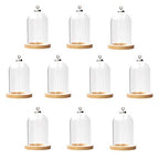 10-Piece Glass Dome Pendant Set with Wooden Base and Hollow Glass Cabochons (38x25mm, Wood Color) - size: 38x25mm Wood Color