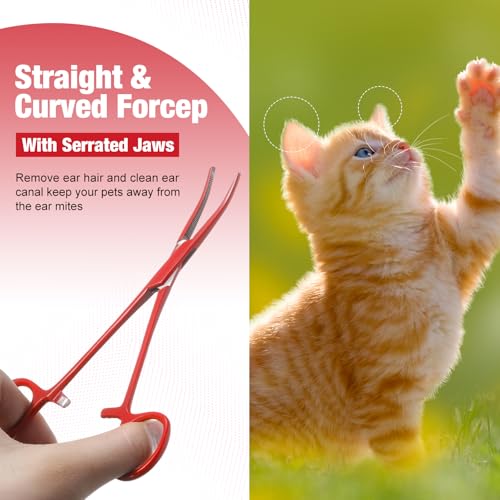 BBTO Hemostat Curved and Straight Hemostat Forceps Piercing Pliers Forceps, Stainless Steel Straight and Curved Pliers, Fishing Tweezer(Red,2 Pcs) - color: Red