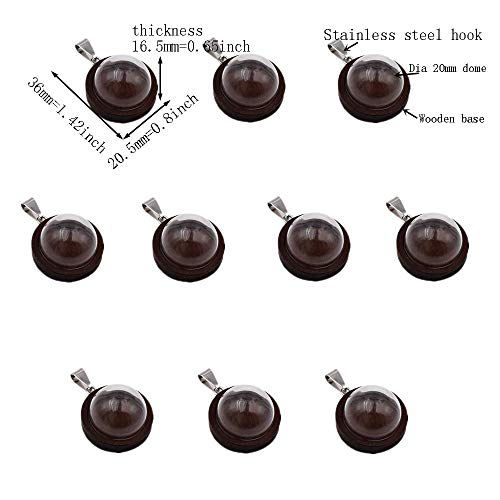 ZenRa 10-Piece Glass Dome Vial Pendant Set with Wooden Base - Hollow Glass Cabochons (20mm, Dark Coffee) - size: 20mm Dome Dark Coffee