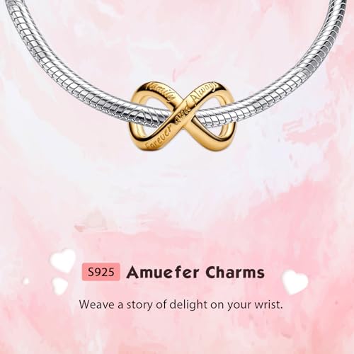Mothers Day Birthday Number Love Family Friendship Graduation Auntie Grandma Dad Mom Charms for Pandora Bracelets Necklaces, Gifts Women, for Anniversary Valentines Christmas - style: Family Forever Always 14K Gold Plated