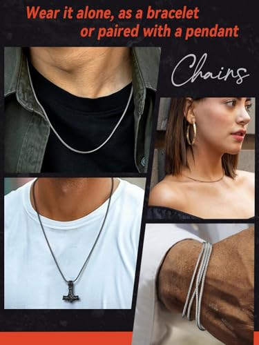 FaithHeart Stainless Steel Chains for Men, Silver/Black/14K Gold Plated Snake/Wheat/Box/Rope/Rolo Chain Necklace 16-30 Inches with Delicate Gift Box - color: 01. Snake Chain-Black, size: Length 28 Inches