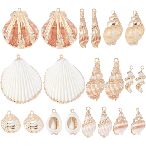 SUNNYCLUE 1 Box 20Pcs 10 Styles Sea Shell Charms Bulk Seashell Charms Natural Cowrie Conch Seashells Ocean Sea Shells Beach Charm for Jewelry Making Charms Women DIY Necklaces Earrings Bracelets - color: 1 Box 20Pcs 10 Styles Sea Shell Charms