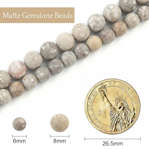 Stone Beads, 45pcs Matte Flowery Cowry Fossil, 8mm Round Loose Beads for Jewelry Making, Bracelets, with Bag, String & Card - color: Matte Flowery Cowry Fossil, size: 8mm