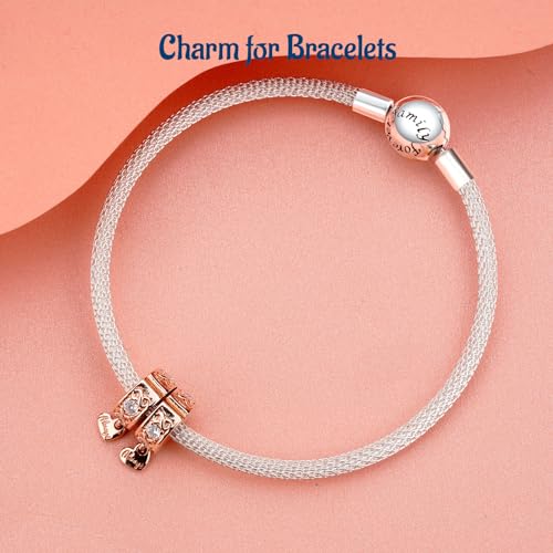 Clip Stopper Spacer Charms for Bracelets Necklaces, Compatible with Pandora,Jewery Mking DIY - style: Always Inifinity Pavé Clip 14K Rose Gold Plated
