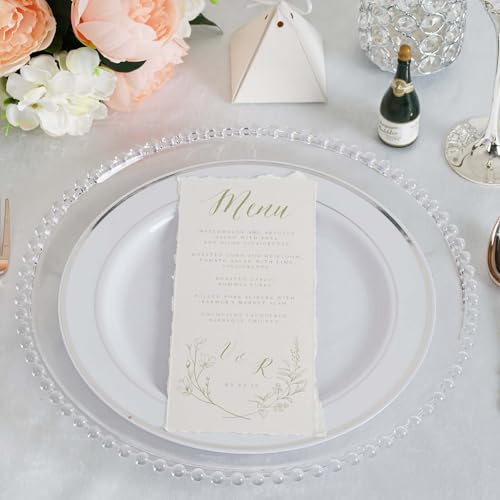 13" Charger Plates - Set of 12 - Clear Round Acrylic Disposable Chargers with Beaded Rim, Ideal for Dinner Party Wedding Bulk Events - color: Clear, size: 13" Charger Plate, 12 Pack