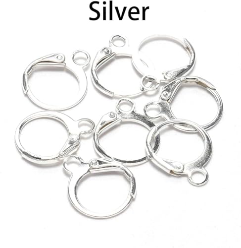20 Pieces Surgical-Grade Stainless Steel Lever Earring Hooks - Open Loop Findings with 14×12mm Hoop Bases for DIY Jewelry Making Supplies (Silver) - color: Silver