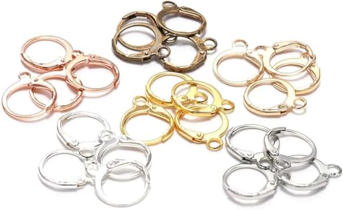 20 Pieces Surgical-Grade Stainless Steel Lever Earring Hooks - Open Loop Findings with 14×12mm Hoop Bases for DIY Jewelry Making Supplies (Brown) - color: Brown