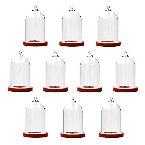 10-Piece Glass Dome Pendant Set with Wooden Base and Hollow Glass Cabochons (Red Coffee, 38x25mm) - size: 38x25mm Red Coffee
