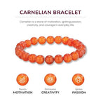 Crystal Vibe 8mm Beaded Bracelets For Women Men - Healing Crystal Bracelet - Adjustable Size - color: carnelian