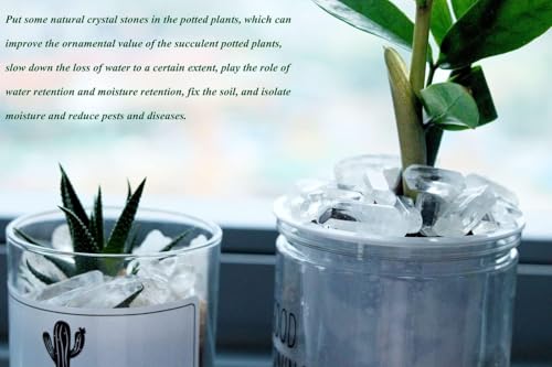 YATOJUZI 1.5LB Clear Quartz Crystal Points Bulk Natural Irregular Polished Stones Wands Gemstones Wholesale Reiki Energy Balancing Crystals Stone for DIY Handmade Meditation Divination 0.39"-1.18" - color: 0.39"-1.18”, size: 1.5 Pound