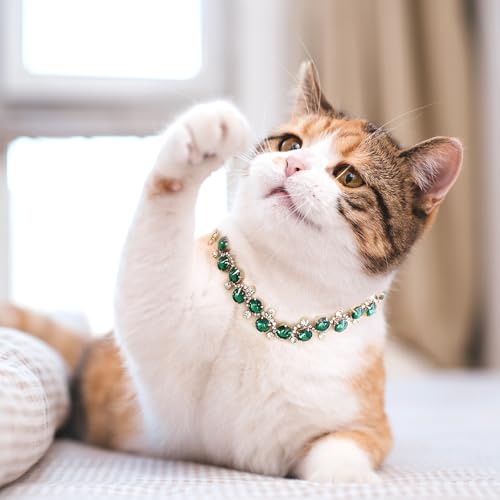 HOWWFALY Dog Collar and Cat Collar Gold Chain Necklace Stainless Steel Adjustable Green Rhinestones Collar with Cute Pet Paw for Small Medium Pets Cats Dogs Kitten Puppy (Green, S) - color: Green, size: Small