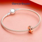 Clip Stopper Spacer Charms for Bracelets Necklaces, Compatible with Pandora,Jewery Mking DIY - style: Plated Shell Clip 14K Rose Gold