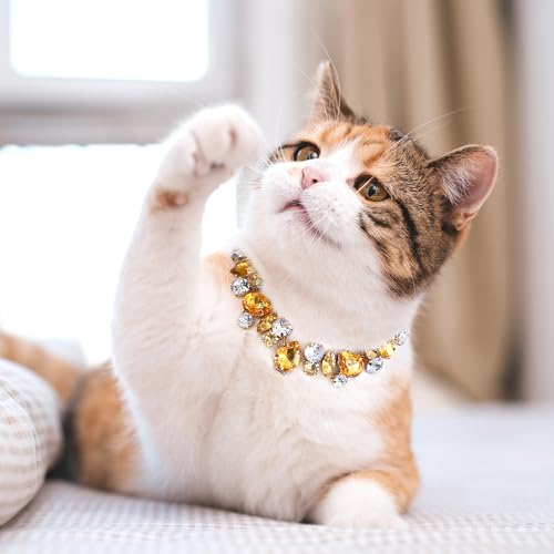HOWWFALY Dog Collar and Cat Collar Gold Chain Necklace Stainless Steel Adjustable Yellow Diamonds Collar with Cute Pet Paw for Small Medium Pets Cats Dogs Kitten Puppy - color: Yellow, size: Medium