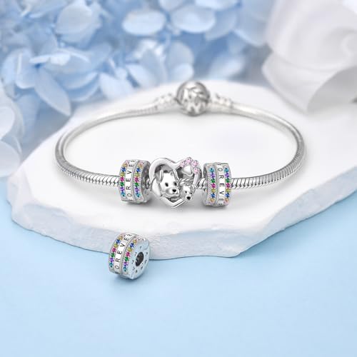 DALARAN Stopper Beads for Bracelets 925 Sterling Silver Clip Spacer Charm Bracelet Stoppers - style: 2Pcs Colorful Charm Stoppers