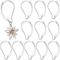 12pcs Leverback Earring Hooks, Hypoallergenic Stainless Steel French Earring Clasps, D-Ring Ear Wire Findings for Jewelry Making- Silver - color: Silver-12pcs