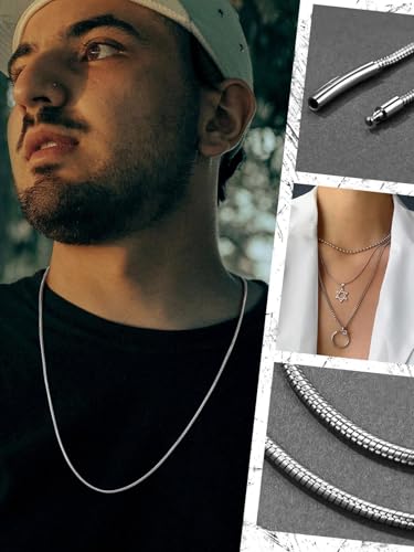 FaithHeart Stainless Steel Chains for Men, Silver/Black/14K Gold Plated Snake/Wheat/Box/Rope/Rolo Chain Necklace 16-30 Inches with Delicate Gift Box - color: 01. Snake Chain-Silver, size: Length 22 Inches