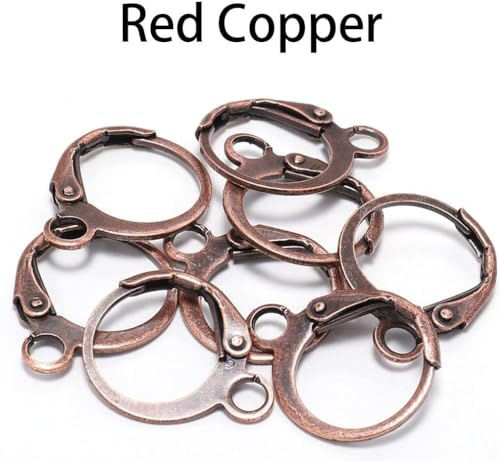 20 Pieces Surgical-Grade Stainless Steel Lever Earring Hooks - Open Loop Findings with 14×12mm Hoop Bases for DIY Jewelry Making Supplies (Brown) - color: Brown