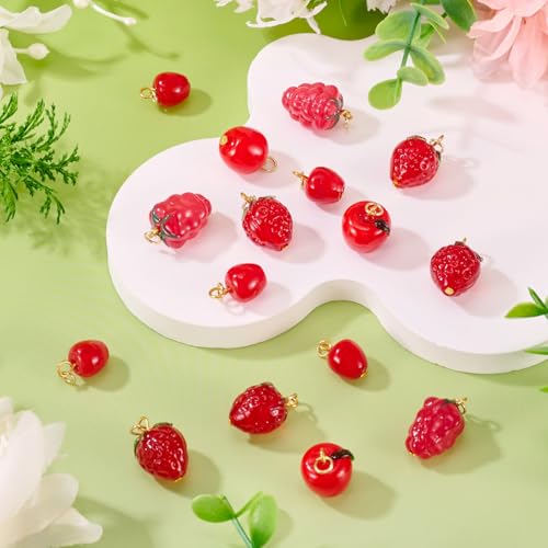 Craftdady Fruit Dangle Charms Pendants Cute Resin Food Pendants Apple Orange Pineapple Strawberry Pendants Lovely Vegetable Mushroom Charms for DIY Craft Earring Bracelet Necklace Jewelry Making - color: Red