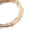 12 Gauge, 14/20 Yellow Gold Filled Wire (Round) Dead Soft 14K Gold Filled Made in USA - 1 Ounce (3FT) by CRAFT WIRE - size: 12 Gauge, style: 1 Ounce
