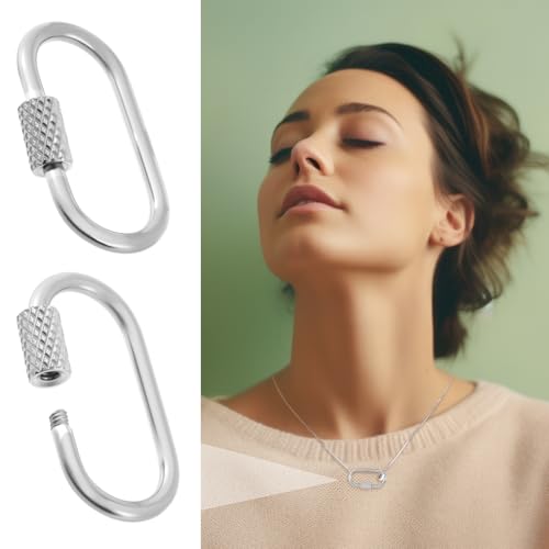 2 Pcs Locking Carabiner Small, Oval Jewelry Carabiner, Silver Carabiner Clasp, Metal Carabiner Necklace for DIY Necklace Bracelets Jewelry Making Hook (Silver) - color: 2 Pcs-Silver, Style1