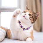 HOWWFALY Purple Diamonds Gold Link Style Cat & Dog Collar with Pet Paw Design, Stainless Steel, Adjustable, L, Unisex, Small & Medium Pets - color: Purple, size: Large