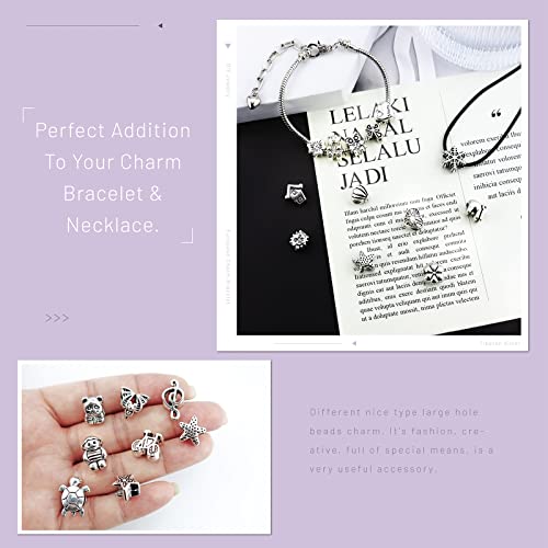 JIALEEY Wholesale Bulk Mix Tibetan Silver Tone Color Spacer Loose Beads Fit European Charm Bracelet Lot for Jewelry Making Findings DIY, 100Gram/38 Pcs