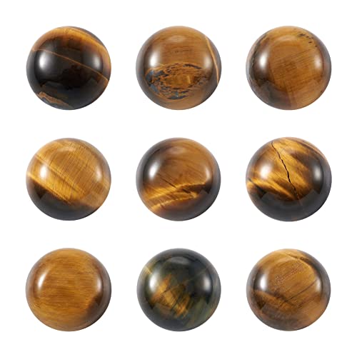 Fashewelry 50Pcs Natural Tiger Eye Cabochon Stone Half Round Beads 12mm Flat Back Gemstone Chakra Healing Crystal Cover Cabs for Jewelry Making - color: 2-Tiger Eye, size: 12x5mm