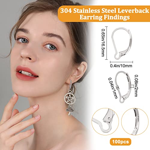Beebeecraft 1 Box 100Pcs Leverback Earring Hooks 304 Stainless Steel French Earring Hooks Earwire Clasp Findings 16.5x10mm for DIY Danlge Ear Wire Jewelry Making - color: Stainless Steel Color