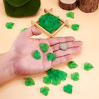Crafans 100Pcs Frosted Acrylic Leaf Charms 24x22.5x3mm Transparent Plant Pendants Matte Clear Leaves Beads Charms for Jewelry Making (Green) - color: Green