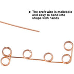 Tenn Well Aluminum Wire, 100 Feet 2mm Bendable Metal Craft Wire for Sculpting, Plants, Gardening, Bonsai Training, Jewelry Making(12 Gauge, Copper Tone) - color: Copper