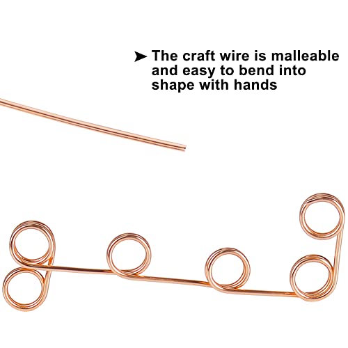 Tenn Well Aluminum Wire, 100 Feet 2mm Bendable Metal Craft Wire for Sculpting, Plants, Gardening, Bonsai Training, Jewelry Making(12 Gauge, Copper Tone) - color: Copper