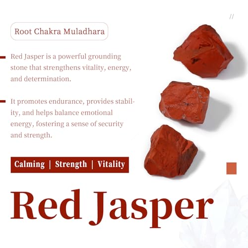 SUNYIK Red Jasper Large Hole (6mm) Rondelle Loose Charms European Bead fits Bracelet,Jewelry Makings Pack of 20 - color: Red-Red Jasper, size: 14x8mm