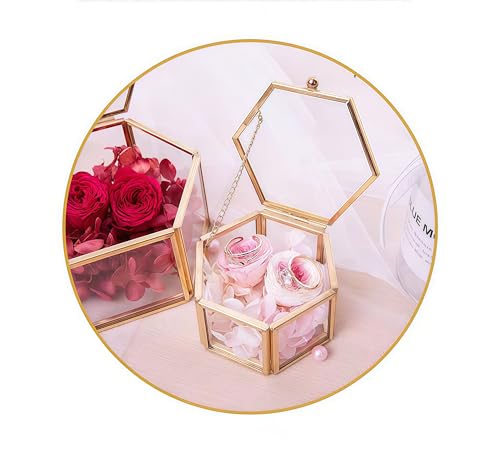 JIARI Glass Jewelry Box Small Gold Hexagonal Decorative Box Ring Earring Display Keepsake Box Case Box for Storage (Small 2 Pack)