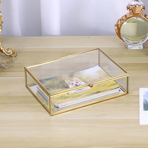 Hipiwe Glass Jewelry Display Box Gold Photo Organizer with Mirror Base Decorative Golden Box for Ring Earring Keepsake Makeup Treasure, 7.3 x 5.3 x 2 Inch - size: 7.3 x 5.3 x 2 Inch