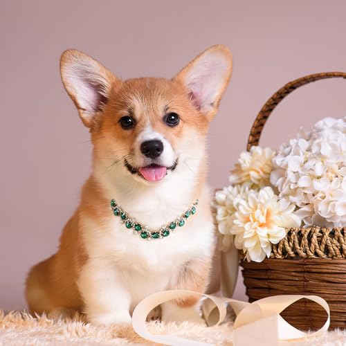 HOWWFALY Dog Collar and Cat Collar Gold Chain Necklace Stainless Steel Adjustable Green Rhinestones Collar with Cute Pet Paw for Small Medium Pets Cats Dogs Kitten Puppy (Green, M) - color: Green, size: Medium