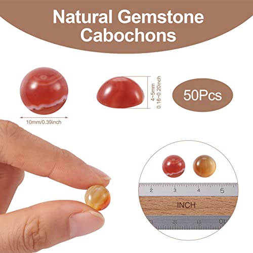 Crafans 50Pcs Natural Agate 10mm Round Gemstone Cabochons Half Round Cabochons Dome No Hole Healing Power Stone Flat Back Chakra Crystal Beads for Jewelry Making(Red) - color: Agate, size: 10mm