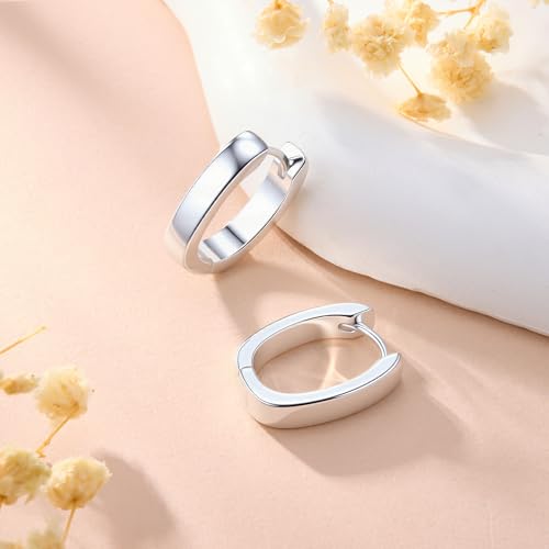 925 Sterling Silver Earrings Small Chunky Hoop Earrings for Women Trendy Huggie Hoop Earrings 14K Gold Plated Hypoallergenic Earrings Small Thick Huggie Hoops Earrings - color: Silver2