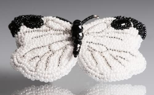 1.76oz (50g) Rocailles Preciosa Seed Beads 10/0, Silver Matte 01700