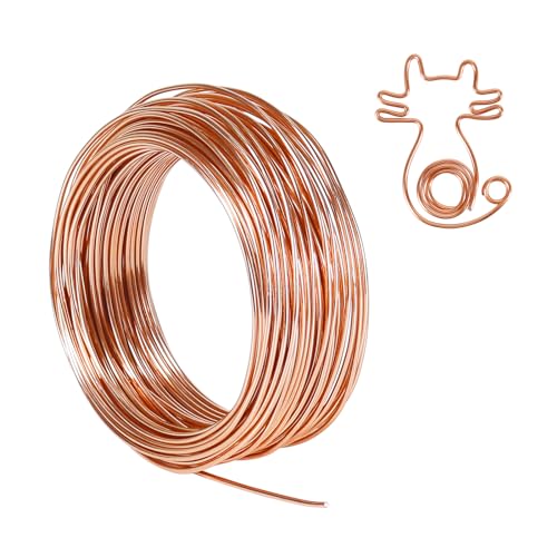 Tenn Well Aluminum Wire, 100 Feet 2mm Bendable Metal Craft Wire for Sculpting, Plants, Gardening, Bonsai Training, Jewelry Making(12 Gauge, Copper Tone) - color: Copper