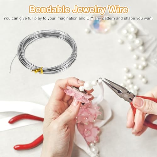 M METERXITY 18 Gauge Stainless Steel Craft Wire, 1.0mm 65.6 ft Bendable Floral Snare Wire for Jewelry Making/Sculpting/Armature Crafting/Floral Bonsai/DIY Crafts - size: 18 Gauge x 65.6 ft