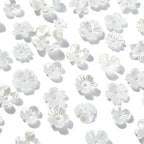 Ipotkitt 200 Pcs 10 Styles White Acrylic Flower Bead Caps ABS Plastic Spring Beads Imitation Pearl Flower Shaped Bead Caps Floral End Caps for DIY Craft Necklaces Bracelets Jewelry Making - color: 200pcs-White Flower Bead Caps-6.5~14.5mm